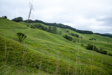 日本の兵庫県神河町の砥峰高原の美しい夏の風景
