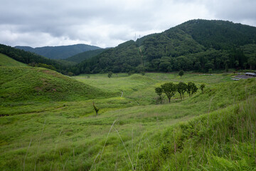 日本の兵庫県神河町の砥峰高原の美しい夏の風景