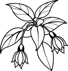 Fuchsia Flower black outline vector and illustration, coloring book page