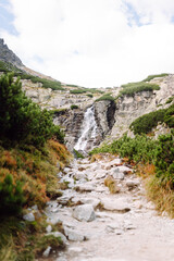 A narrow rocky path through bright green bushes with an inspiring waterfall among the rocks. Breathtaking natural mountain scenery with a waterfall in the rays of the sun. Concept of peace.