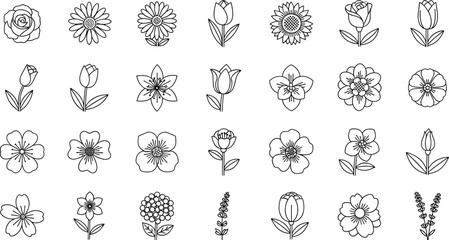 Flowers line icon set. Vector pictograms of magnolia, dandelion, crocus, calla lily, various flower species - azalea, anemone, bird paradise, thin linear 