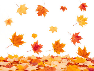 Autumn leaves falling on a pile of leaves with a white background in a studio setting