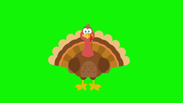 Funny Dancing Cartoon Turkey Character On Green Screen - 4K Animation Video Motion Graphics Without Background