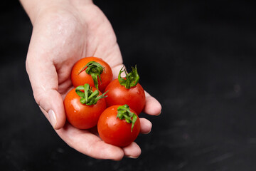 Hand holding fresh, ripe cherry tomatoes with vibrant red color and green stems, showcasing organic...