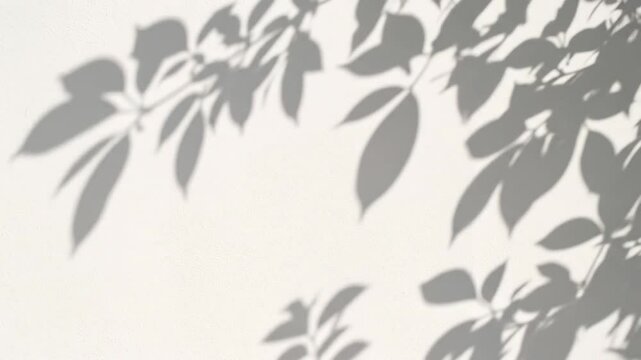 Shadow play of leaves on a stucco wall