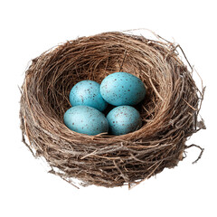 Bird nest with blue robin eggs stock photo nature wildlife spring easter avian photography image free download