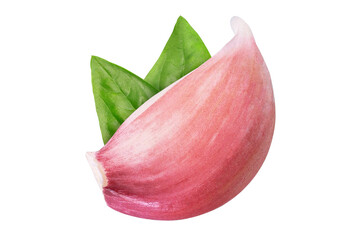 Garlic clove and basil leaves on isolated white background.