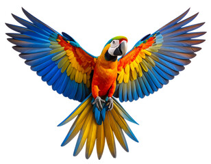 Obraz premium Colorful Tropical Parrot Sitting with Spread Wings, detailed feathers, isolated PNG.