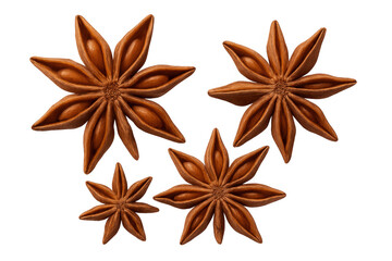 Fototapeta premium Four star anise spices falling on a transparent background, ready to be used in any creative project