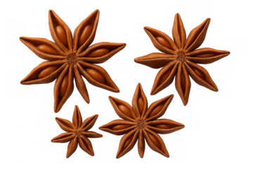 Four star anise spices falling on a transparent background, ready to be used in any creative project