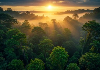 Sunrise over a serene forest landscape with warm golden light