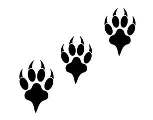 A bold POWs tribute fused with bone — symbolizing strength, sacrifice, and remembrance.