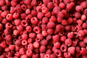 Sweet raspberry background. Full frame of fresh raspberries. Red ripe berry photo wallpaper closeup. Juicy berries. Vegetarian, vegan raw food. Organic bio product. From farm to table. Fruit pattern