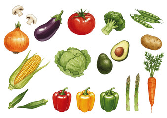 Vector watercolor vegetable / 水彩テイストの野菜イラスト