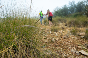 Obraz premium Hikers Exploring a Scenic Trail Surrounded by Lush Nature and Rocks