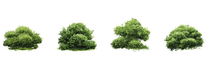 Obraz premium Lush Green Shrubs In Watercolor Illustration Set. Garden Design And Environmental Planning Element Collection. Isolated Vector Illustration