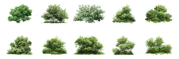Obraz premium Green Bushes And Shrubs Watercolor Side View Illustration Set. Landscape Architecture And Garden Design Element Collection. Isolated Vector Illustration