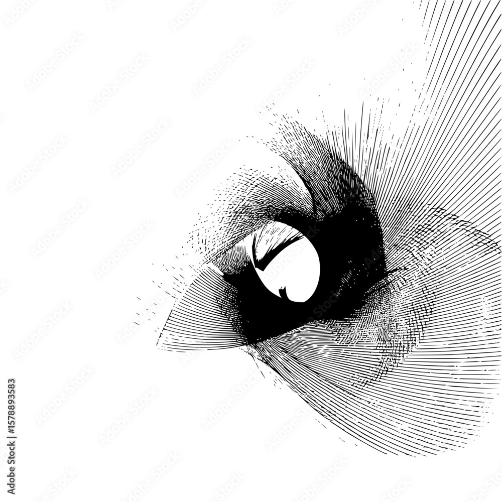 Poster abstract black and white vortex pattern with radiating lines and a central open space design element