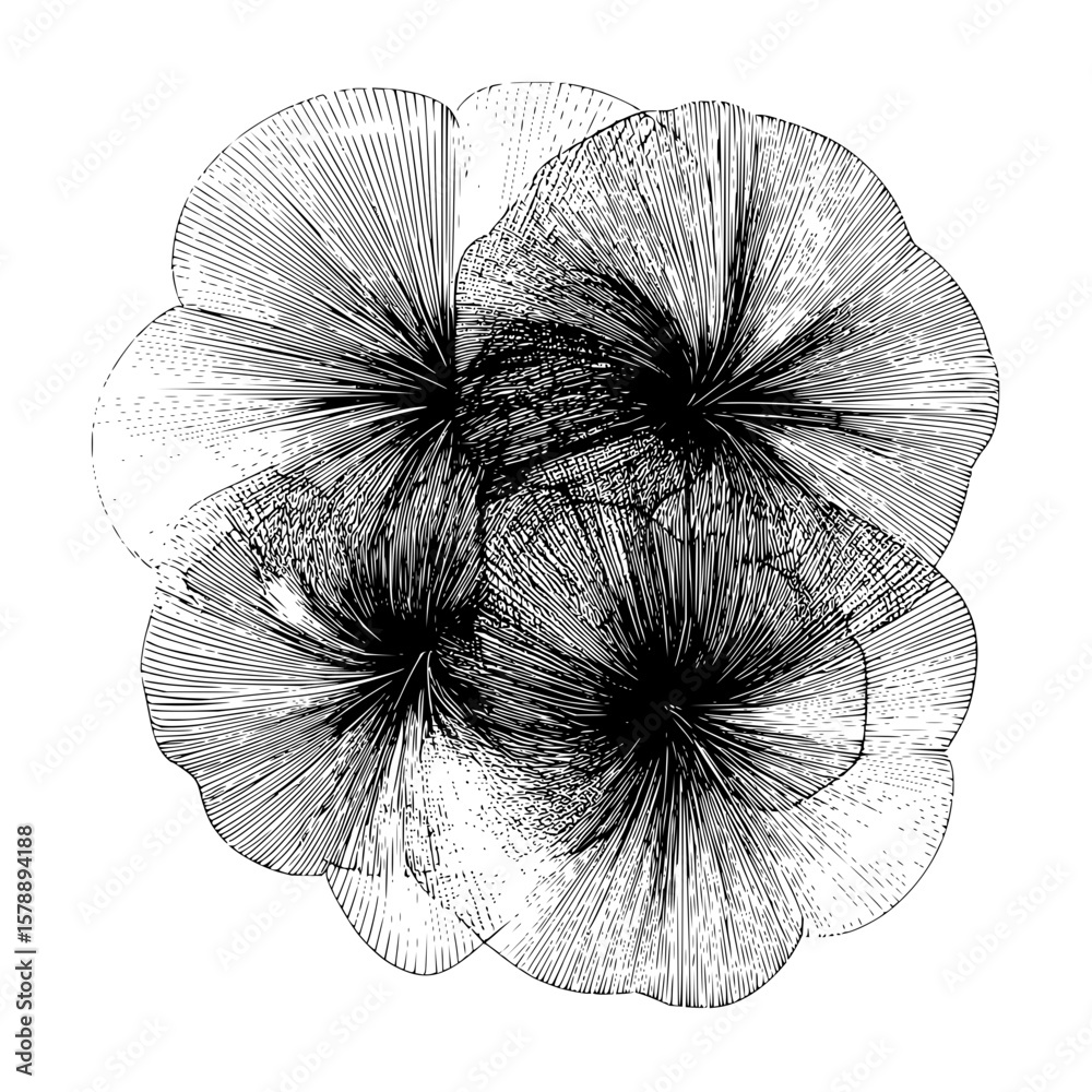 Poster abstract floral arrangement with radiating lines and overlapping petals creating a dense pattern