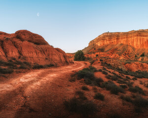 Inside red desert (Ca&ntilde;&oacute;n Rojo Teruel - Spain)