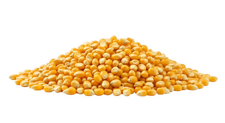 Pile Of Yellow Corn Kernels