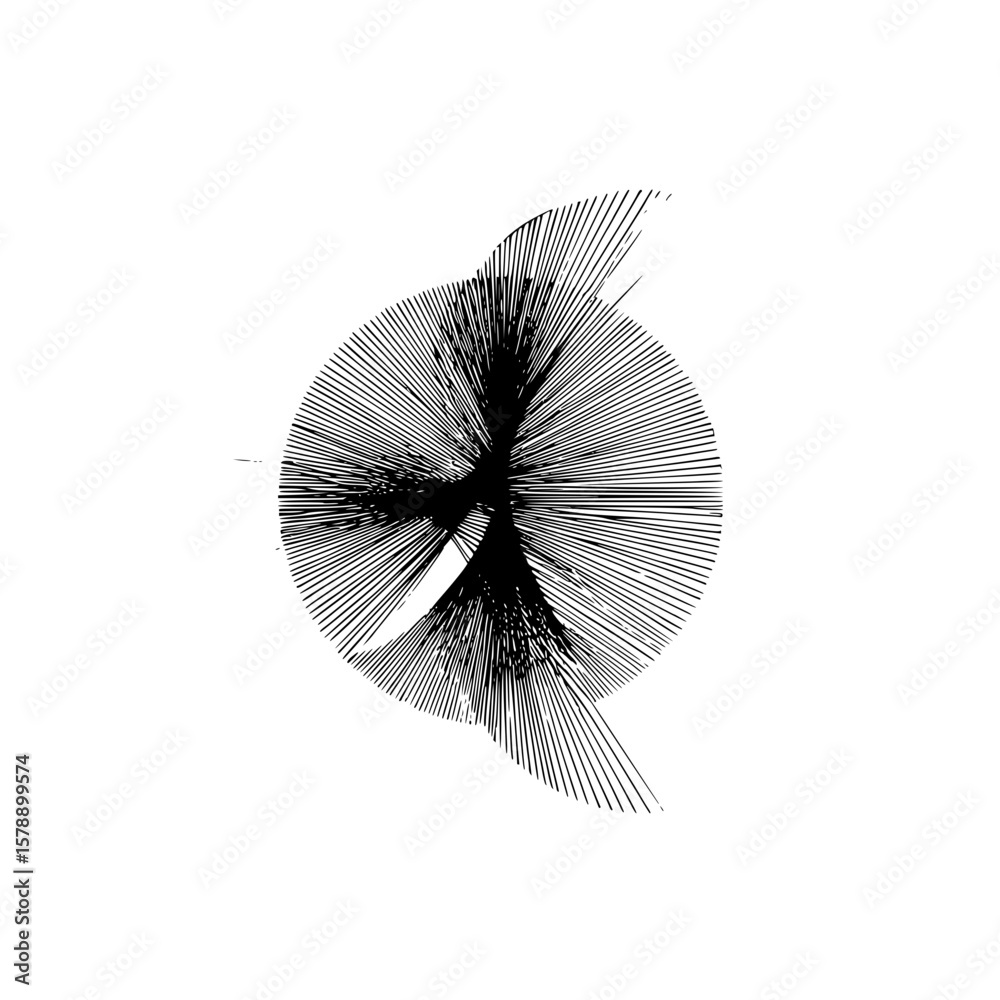 Poster abstract black and white radial lines forming a circular shape with intersecting patterns design ele