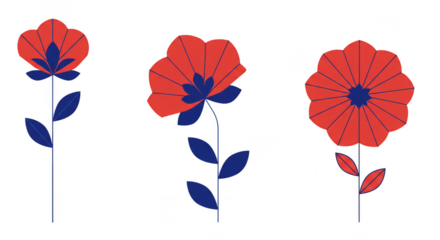 Floral Illustration of Red and Blue Flowers on Transparent Background