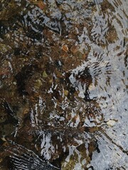 water flowing into the water