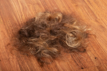 Hair Left on the Ground After Head Shaving for Chemotherapy Treatment