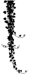 Tropical Leaves and Botanical Bouquets Silhouettes Vector Collection