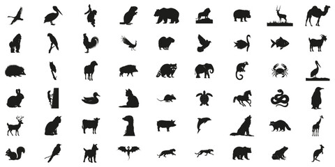 Animal Silhouettes In Solid Icon Set. Wildlife Diversity And Species Representation Collection. Environmental And Educational Use. Isolated Vector Illustration