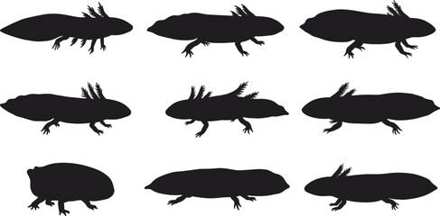 Cute black silhouette axolotl illustrations in various poses, amphibian cartoon set, isolated vector collection on white background