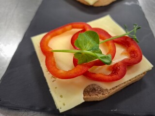 Delicious Open-Faced Sandwich with Cheese, Red Pepper, and Fresh Greens Garnish
