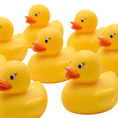Illustration Yellow Rubber Ducks Toys with Orange Beaks on Transparent