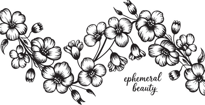 Elegant black and white floral vector design with ephemeral beauty text