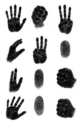 Grunge Handprint and Fingerprint Icon Set in Black Ink Texture - Transparent Background
