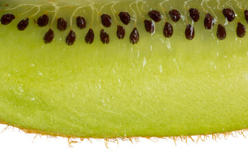 The High-resolution photograph of a piece of kiwi taken using the stacked focus technique.