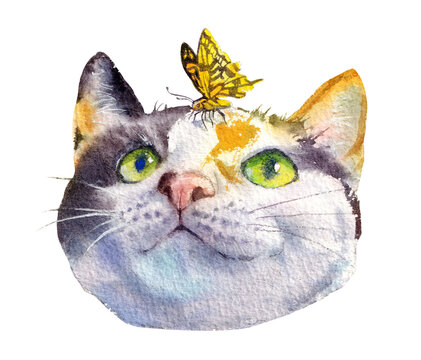Calico Cat and Butterfly