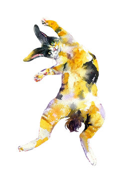 Calico Cat with Bunny Ears