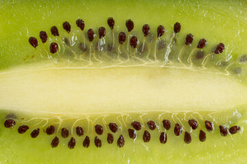 The High-resolution photograph of a piece of kiwi taken using the stacked focus technique.