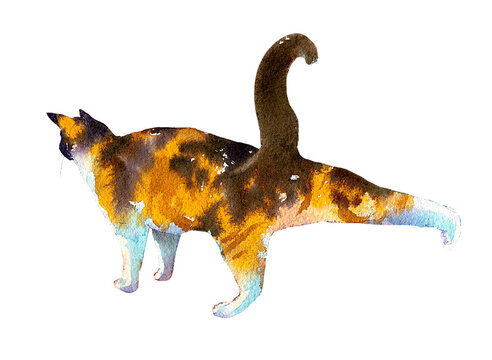 Calico Cat Stretching Its Hind Legs