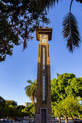 Torre do relógio da Avenida Goiás em Goiânia com detalhes de árvores e galhos ao redor e céu...