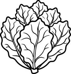 Collard greens outline vector illustration drawing
