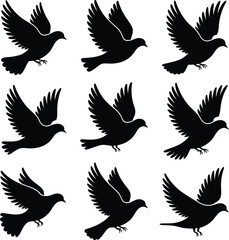 Set of flying pigeons. Black silhouettes of birds on a white background.