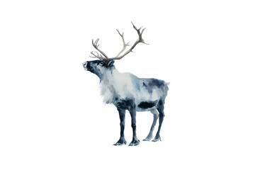 Watercolor Reindeer Illustration Grey and White Antlers Standing Pose Isolate
