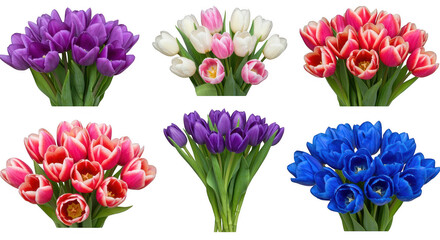 Obraz premium Multi-colored Tulip Bouquet Array: Captivating array of tulip bouquets showcasing a kaleidoscope of colors and forms, beautifully arranged.