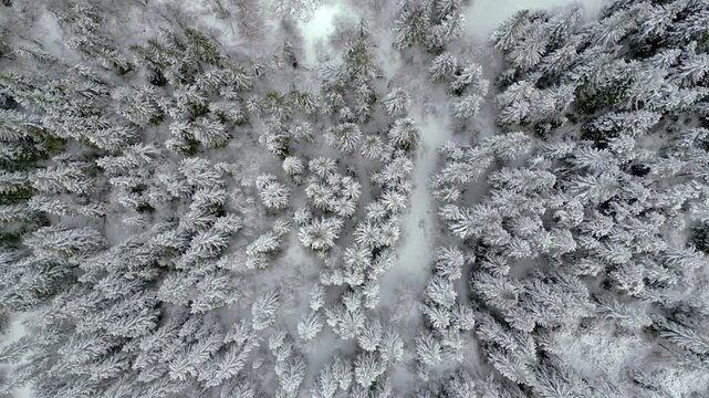 Winter on Lake Predil. View from above.