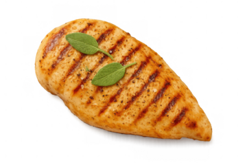 Grilled chicken breast seasoned with herbs, presenting golden-brown surface and lean protein, resting on transparent background