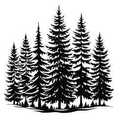 Obraz premium Black pine forest silhouette pine trees evergreen