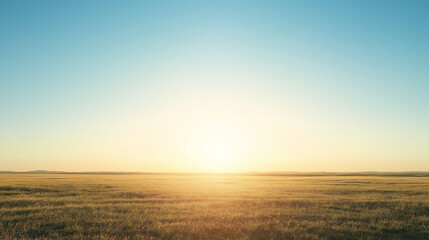 Golden field at sunrise with clear blue sky